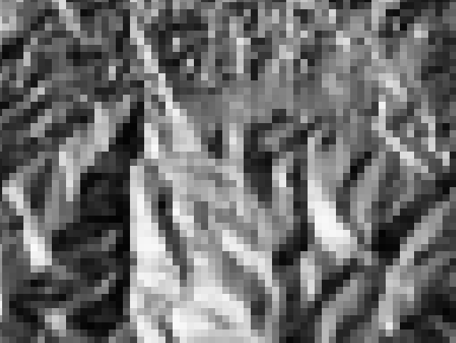 ../_images/raster-detail.png
